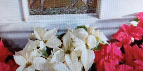 Morning Prayer Rite II for the Third Sunday of Advent In-person & via Zoom