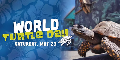 World Turtle Day
