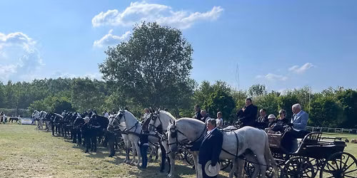 T\u00f6k\u00f6li Lovas-\u00e9s V\u00e1rosnap