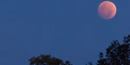 Nature at Night: Full Flower Moon (All Ages)