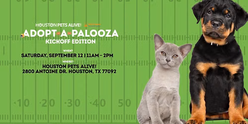 Pet Adoption Event: HPA!'s Adopt-A-Palooza
