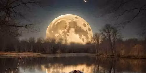 Beaver Super Moon