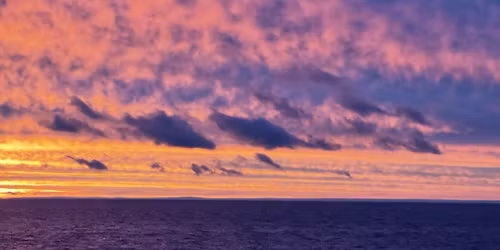 Shore Thing @ The Tipsy Mosquito