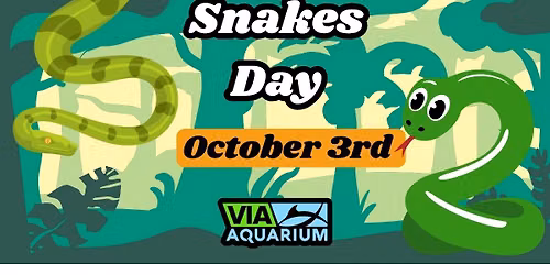 Meet Our Snakes Day