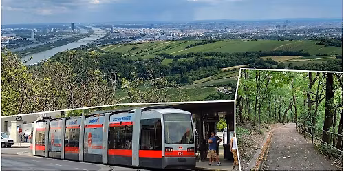 Social Hike: Kaptivating Kahlenberg