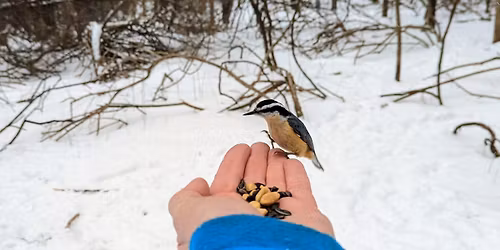 Chickadee Walk at Mendon Ponds Park