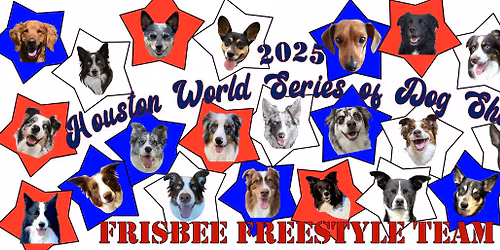 Spring Toss & Fetch League