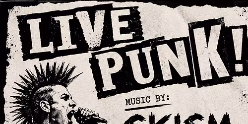 Punk Show at Mother Pugs