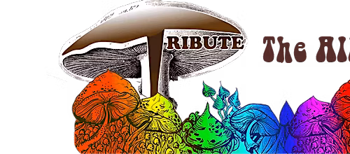 TRIBUTE - A Celebration of The Allman Brothers!