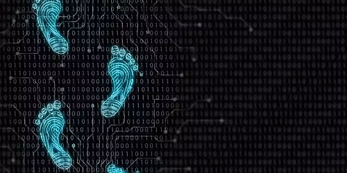 Managing Your Digital Footprint