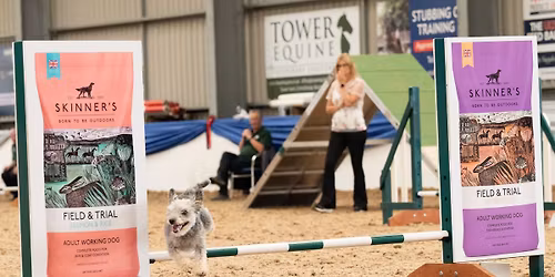 Agility Train The Trainer Qualification 