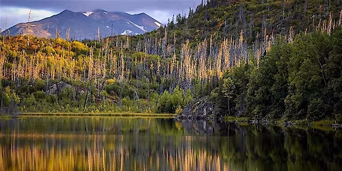 Intermediate Photography 201