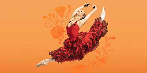 Carlos Acosta's Don Quixote