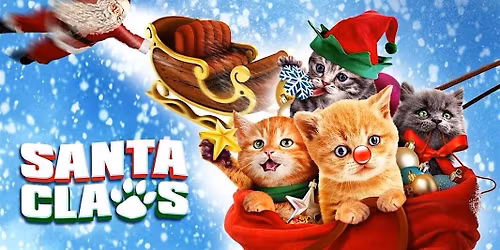 A (Bad) Night at the Movies