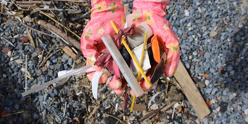 Sunset Coastal Cleanup