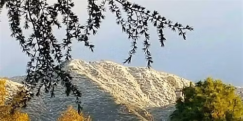 2025 Altadena Town Council Holiday Celebration