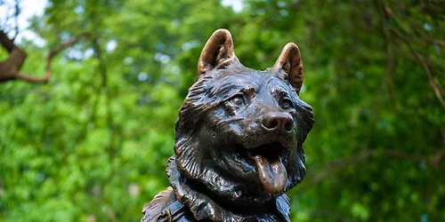 New York City: Central Park Self-Guided Walking Audio Tour