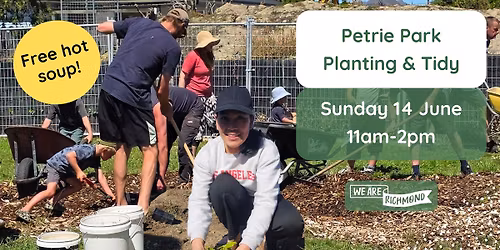 Petrie Park Plant and Tidy
