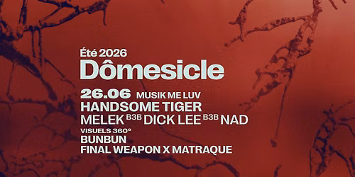 D\u00f4mesicle x Musik Me Luv \u2014 Handsome Tiger \u2022 Melek b3b Dick Lee b3b nad