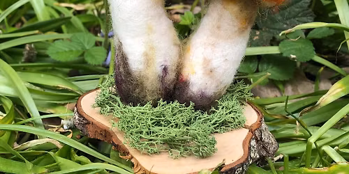 Needle felted fungi 