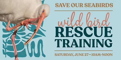 Wild Bird Rescue Training