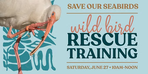 Wild Bird Rescue Training