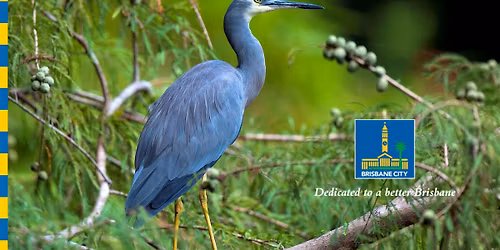 Guided bird watching walk