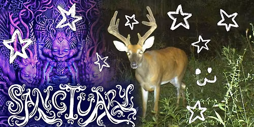 SANCTUARY - HARD TECHNO FOR FOREST CREATURES