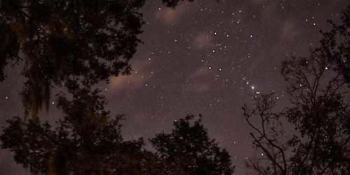 Night Hike in the Preserve