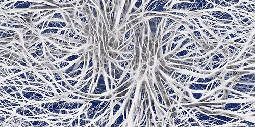 Die Sprache der Nerven verstehen | Nervenstimulation durch Elektrizit\u00e4t