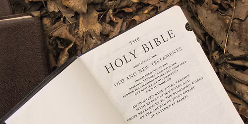 Bible Study