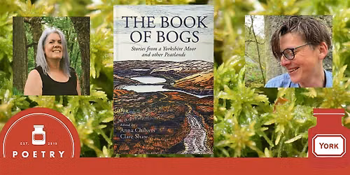 The Magic of Bogs