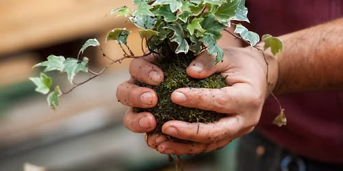 Kokedama Workshop