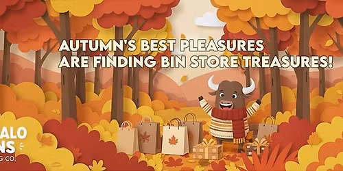 BUFFALO BINS TURNS 2!