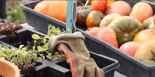 Principles of Organic Gardening