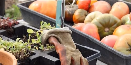 Principles of Organic Gardening