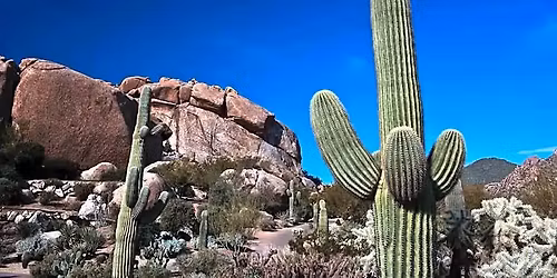 CC Museum Presents: "The Boulders at The Boulders Aren\u2019t Really Boulders" with Stephanie Bradley