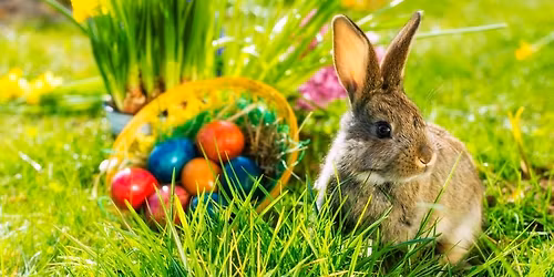 Locsol\u00f3b\u00e1l