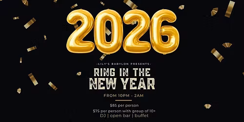 Lily's New Years Eve 2025