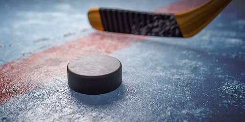 IceBreakers Networking Night