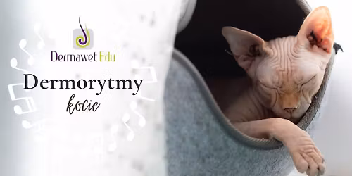Dermorytmy kocie \u2013 diagnostyka i terapia chor\u00f3b sk\u00f3ry kot\u00f3w od A do Z - NOWA EDYCJA 2026