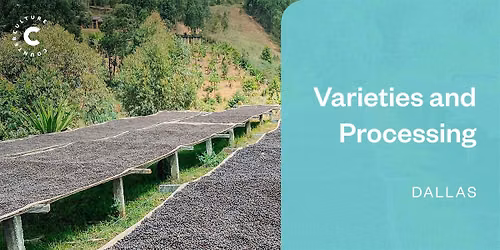 Coffee Origins: Varieties and Processing - Dallas