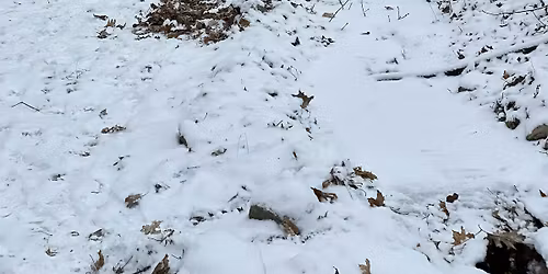 Volunteer on Winter Culvert Hikes