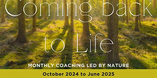 Coming Back to Life: October 2026 - June 2027