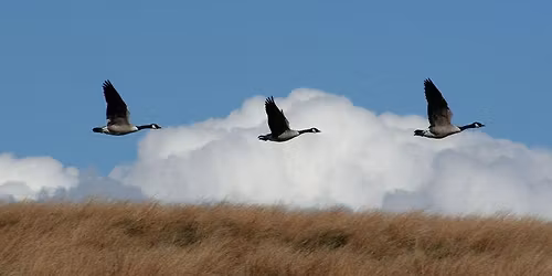 Out in Nature at Easter Lake