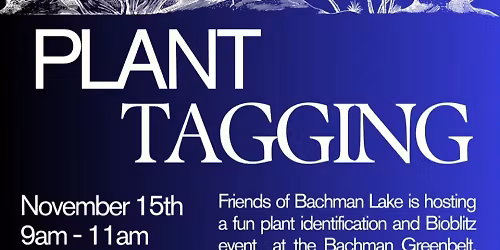 Plant Tagging at the Bachman Greenbelt Trail