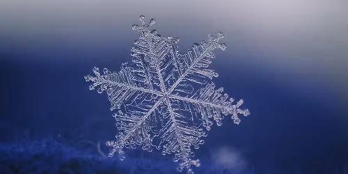 Blue Christmas Service