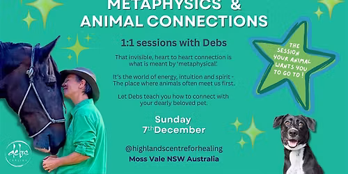 1:1 Animal Connections sessions - with Debs Carling