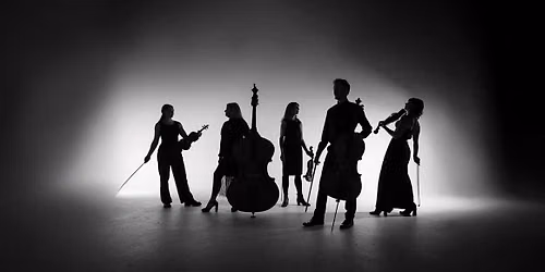 Camerata Weekender Festival Pass