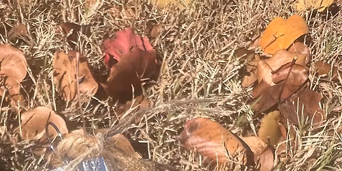 Creating A Yule Ornament